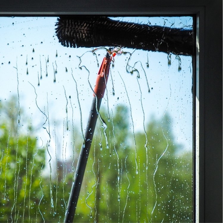 Fensterreinigung